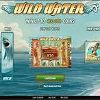 wild water slot